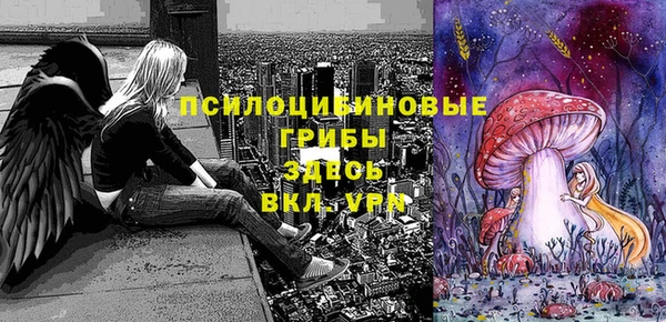 марки nbome Коряжма