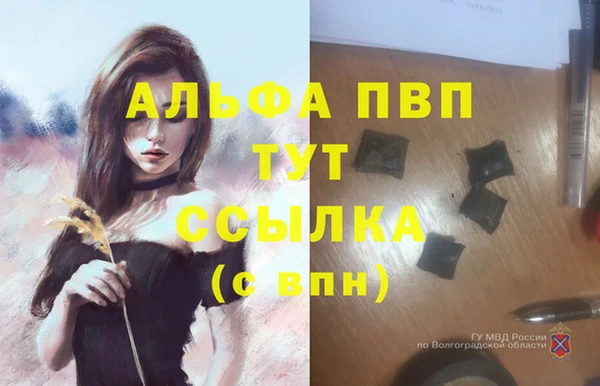apvp Костерёво
